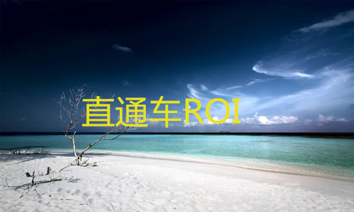 <b>淘宝代运营-如何提高直通车ROI</b>