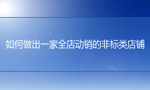 <b>淘宝代运营：如何做出一家全店动销的非标类店铺</b>