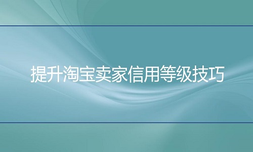 <b>淘宝代运营：提升淘宝卖家信用等级技巧</b>